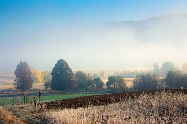 Prázdná Venkovská Pole Ranní Mlze Krajina Scenérie Podzim — Stock fotografie