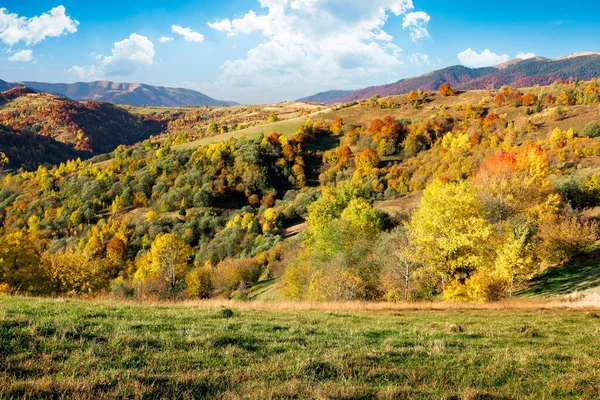 Beautiful Mountain Landscape Sunny Day Wonderful Countryside Scenery Autumn Season — Stock Photo, Image