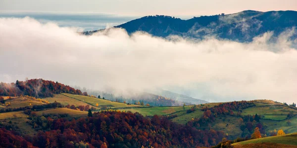 Atemberaubende Ländliche Landschaft Nebelschwaden Bei Sonnenaufgang Herbst Bäume Auf Berghügeln — Stockfoto