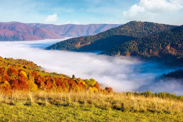 Paisaje Rural Temporada Otoño Valle Brumoso Luz Mañana Árboles Follaje — Foto de Stock