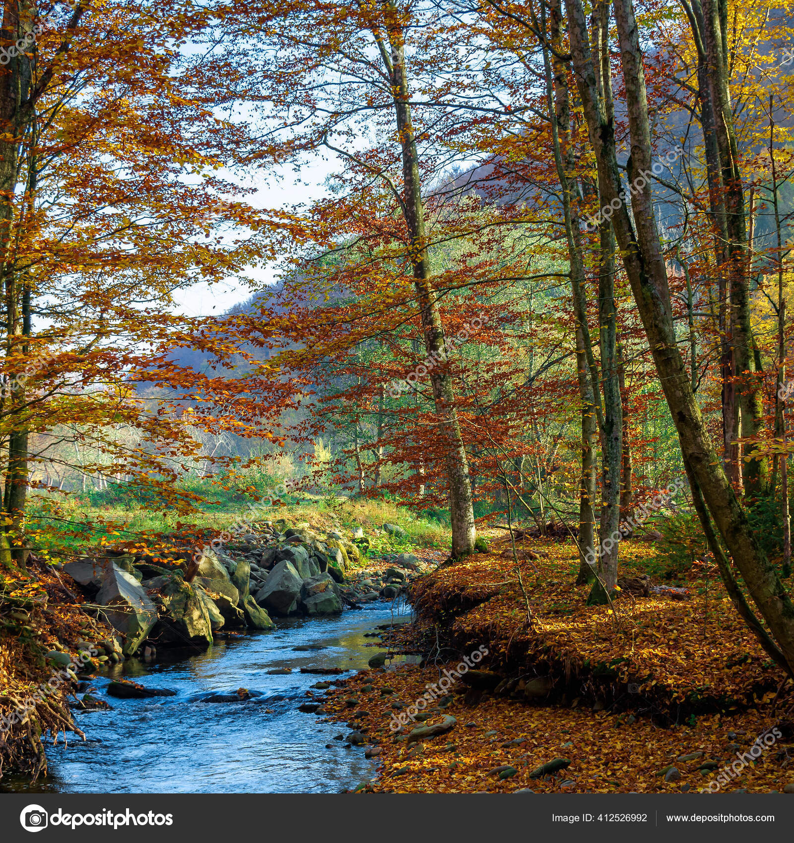 J'ai un canal sur mon terrain et il est alimenté par la canal sur le bord  de la route lors de orage. Il a aussi un ruisseau naturel entre mon terrain  et, image size:1600x1700