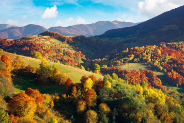 Güneşli bir günde güzel bir dağ manzarası. Sonbahar mevsiminde harika bir kır manzarası. Kırsal alanlar ve ağaçlar uzak tepelerde renkli yapraklar içinde.