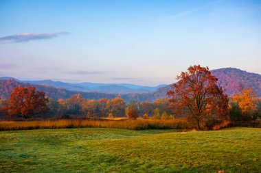 Sonbaharda şafak vakti harika bir kırsal bölge. Çimen tarlasında renkli yapraklar içinde ağaçlar. Uzakta dağlar