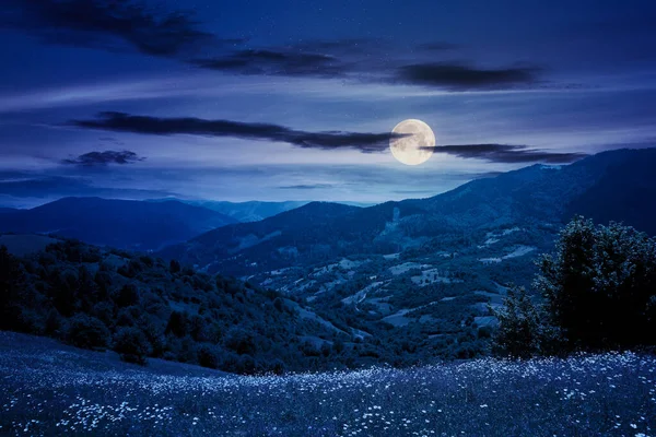 Pasture Sunny Day Mountains Night Wonderful Countryside Landscape Carpathians Full — Stock Photo, Image