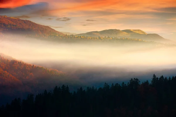 Sanfte Hügel Nebel Bei Sonnenaufgang Schöne Berglandschaft Herbst Wolken Morgenhimmel — Stockfoto