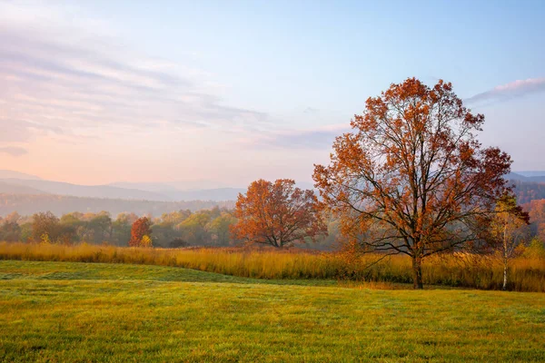 秋天黎明时分美丽的乡村 草场上五彩斑斓的树叶中的树木 远处的群山 — 图库照片