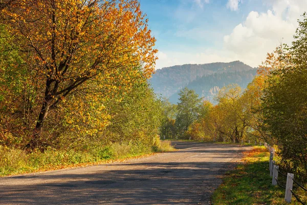 Alte Asphaltstraße Den Bergen Schöne Herbstkulisse Einem Sonnigen Tag Bäume — Stockfoto