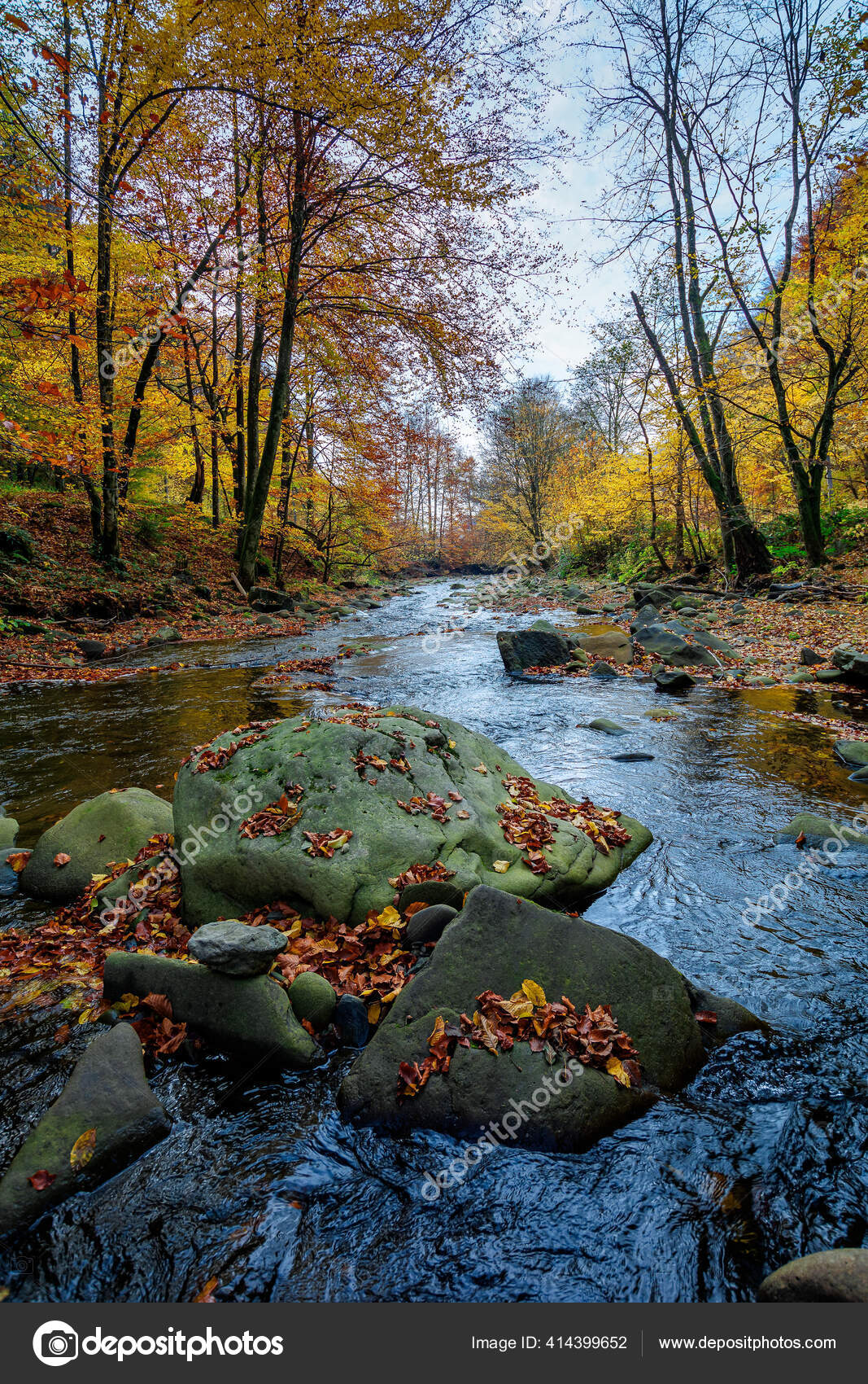 ultra hd 8k 7680x4320 nature photography, leaf, plant part HD