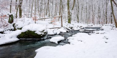 Kış ormanındaki su akıntısı. Ağaçlar ve kıyılar karla kaplı.