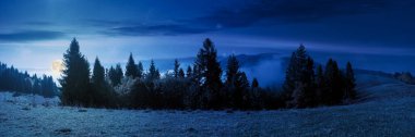 Geceleri sisli sonbahar manzarası. Dolunay ışığında çayırdaki çam ağaçları. Sabah sisinin arkasındaki dağ. Bulut ters doğa fenomeni yandan gözlemlendi