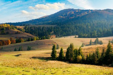 Sonbahar mevsiminde dağlık kırsal alan. Tepelerdeki ağaçlar ve tarlalar. Güneşli bir günde güzel bir kır manzarası