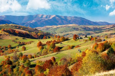 Güneşli bir günde güzel bir dağ manzarası. Sonbahar mevsiminde harika bir kır manzarası. Kırsal alanlar ve ağaçlar uzak tepelerde renkli yapraklar içinde.