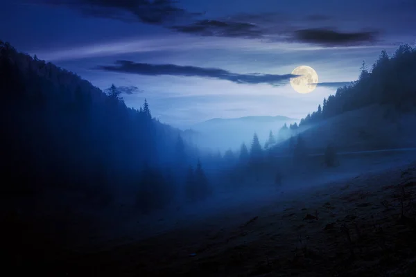 Morgennebel Apuseni Naturpark Der Nacht Tal Voller Nebel Vollmondlicht Schöne — Stockfoto