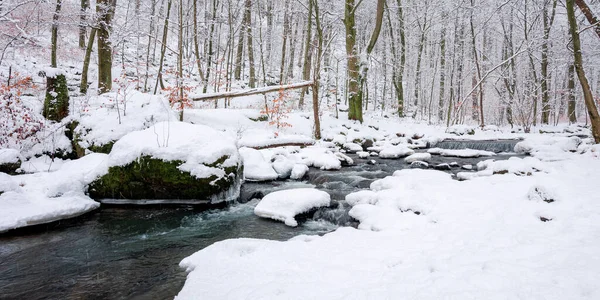 Arroyo Agua Bosque Invierno Árboles Orillas Cubiertas Nieve —  Fotos de Stock