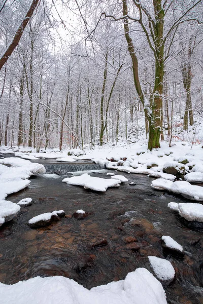 Strumień Wody Zimowym Lesie Drzewa Brzeg Pokryte Śniegiem — Zdjęcie stockowe
