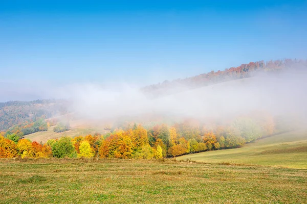 Mlhavé Ranní Podzimní Scenérie Horská Krajina Stromy Pestrobarevném Listoví Travnaté — Stock fotografie