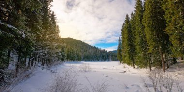 Ormanın içindeki dağ gölü karla kaplıydı. Sahildeki yeşil çam ağaçları. Güzel güneşli hava. Gökyüzündeki bulutlar
