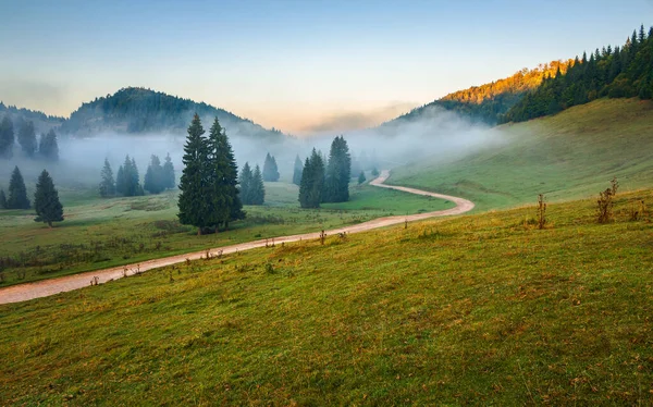 Bäume Tal Des Bergigen Naturparks Nebliger Morgen Herbst Wunderschöne Hügellandschaft — Stockfoto