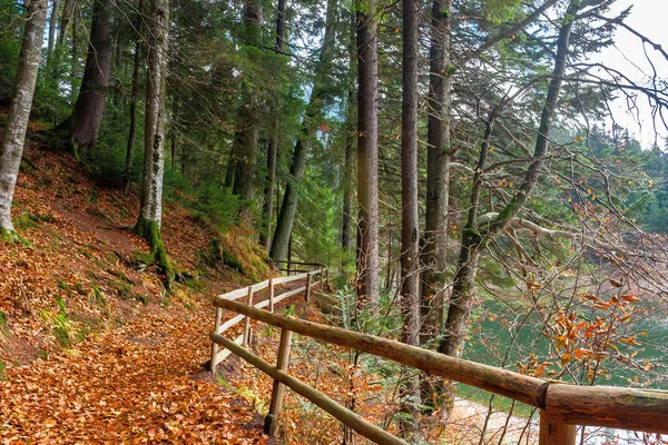 Cesta Lesem Krásná Podzimní Scenérie Dřevěný Plot Podél Lávky Pokrytý — Stock fotografie