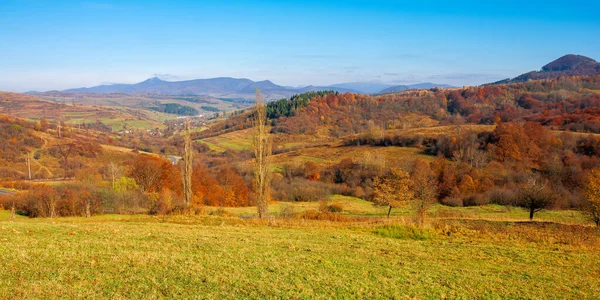 Bergachtig Landschap Een Zonnige Dag Bomen Kleurrijk Gebladerte Grasheuvels Bergkam — Stockfoto