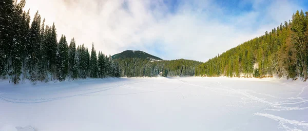 森林中覆盖着覆盖着高山的雪 岸上的绿色云杉树 美丽的阳光灿烂的天气 天空中的云彩 — 图库照片