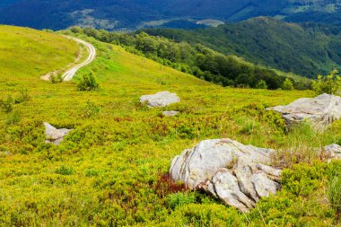 Yamaçtaki kayalar. Bulutlu bir günde Karpatlar üzerinde yaz dağı manzarası