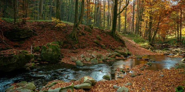 Horské Řeky Podzimním Lese Skály Spadlé Listí Břehu Stromy Žlutém — Stock fotografie