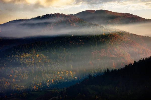 Böljande Kullar Dimma Vid Soluppgången Vackert Bergslandskap Höstsäsongen Moln Morgonhimlen — Stockfoto