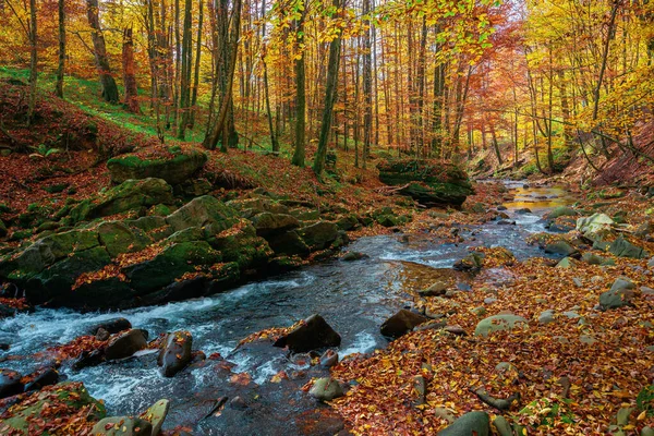 Fluxo Montanha Floresta Outono Fluxo Água Entre Rochas Árvores Folhagem — Fotografia de Stock