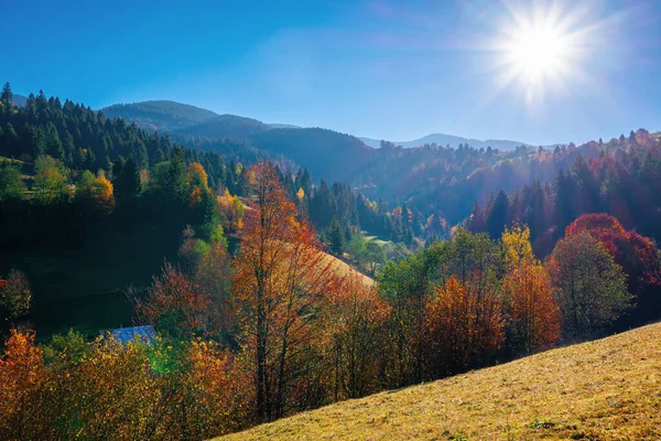 秋天的山地乡村风景 山上的草 五彩斑斓的树叶 美丽的自然景观 阳光灿烂的早晨 天空中乌云密布 — 图库照片
