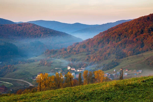 Paysage Rural Magnifique Paysage Brumeux Lever Soleil Automne Arbres Sur — Photo