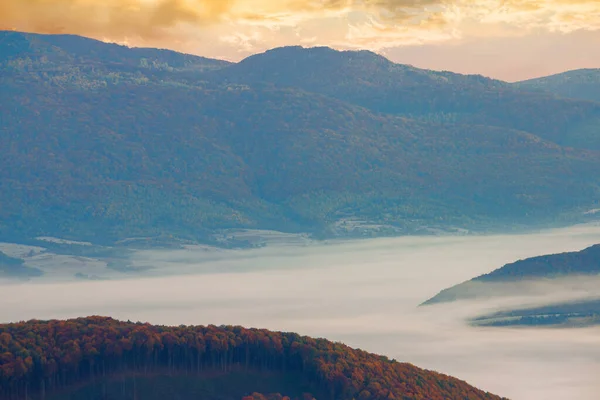 山上雾蒙蒙的日出 美妙的秋天天气 从山顶上观察美丽的自然景观 五彩缤纷的秋天树叶丛生的树 在遥远的山谷中闪耀的雾 — 图库照片