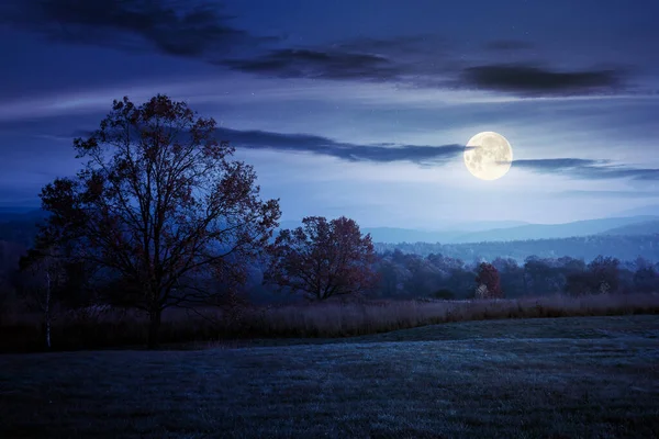 秋天夜晚黎明时分美丽的乡村 生长在五彩缤纷的树叶中的树 生长在满月的草地上 远处的群山 — 图库照片