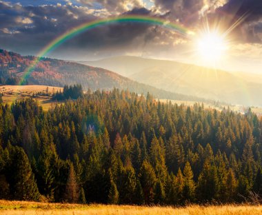 Sonbaharda günbatımında dağların kırsal kesiminde. Tepenin yamacından gün ışığında izlenen harika dağlık arazi. Spruce Ormanı yakınlarındaki yuvarlanan tepelerdeki çayırlar. alp seyahat hedefi