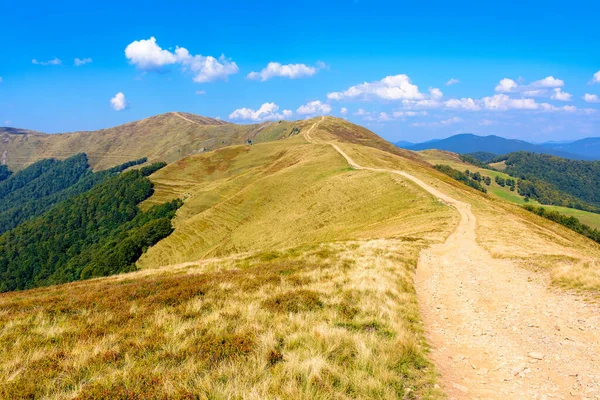 Çimenli Alp Çayırı 'ndan geçen toprak dağ yolu. Sonbahar öğleden sonrası ışığında harika bir açık hava macerası. Transcarpathia, Ukrayna 'nın krasna sırtı boyunca yürüyüş. Mavi gökyüzündeki bulutlar