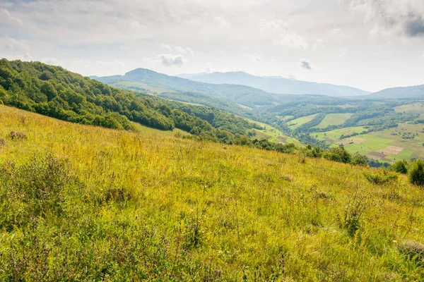 Tepenin üzerinde orman olan dağ manzarası. Transcarpathia bölgesi. Ukrayna 'nın kırsal otlağı. Bulutlu gökyüzü ile sıcak sonbahar havası. Vista aç