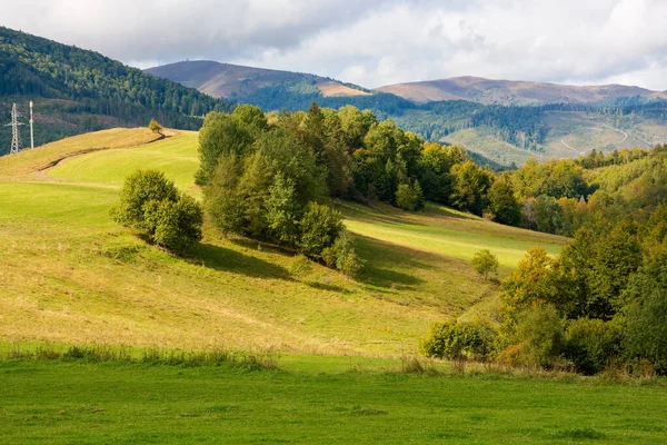 Tepenin tepesindeki ağaçların benekli ışıklarıyla manzarası. Sonbaharın başında Karpatlar 'da manzaralı bir orman. Bulutlu gökyüzünün altında inanılmaz Borzhava sırtı