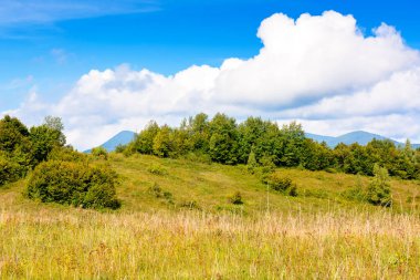 Orman ve çimenli çayırlar bulutlu sonbahar gökyüzünün altındaki tepelerde. Güzel sonbahar havasında güzel bir kırsal. Güneşli bir günde Karpatya dağlarının eteklerinde doğa manzarası