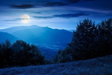 Sonbaharda, sonbaharda tepenin üzerinde ormanlı bir dağ manzarası. Dolunay ışığında kırsal vadiye güzel bir manzara. Alp kırsalının gökyüzü altında bulutlu manzarası