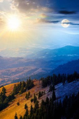 Tepedeki bir çayırda köknar ağaçları. Gündüz ve gece zaman kavramını değiştirir. Alacakaranlıkta güneş ve ay ile dağlarda kozalaklı orman. Sonbaharın başlarında dik yamaçlarda