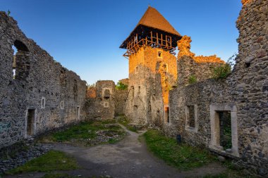Nevytske, Ukrayna - 19 Mayıs 2018: günbatımında kulesi ve taş duvarı olan kale. Ukrayna 'nın ortaçağ kale mimarisi. Transcarpathia 'nın yolculuk yeri ve miras yeri