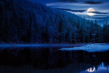 Güz Ormanı 'nda gece vakti göl kenarındaki manzara manzarası. Sonbahar mevsiminde, dolunay ışığında milli parkın güzel manzarası. Gölette renkli bir çevre yansıması var. Ormanda açık hava macerası