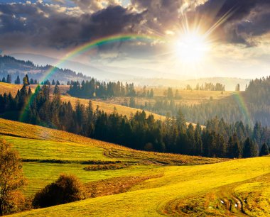 Sonbaharda günbatımında çimenli tepede orman. Yuvarlanan otlaklı güzel kırsal manzara. Akşam ışığında dağlık kırlarda. Sıcak Ekim havası