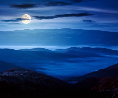 Sonbaharda geceleri dağlık kırsal alan. Sonbahar renklerinde ağaçlar dolunay ışığında yuvarlanan tepelerde. Uzak vadide sis var. Tepenin üstündeki parlak gökyüzü