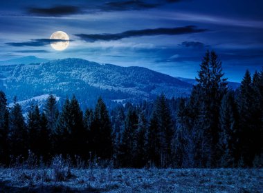 Sonbaharda çayırın arkasındaki kozalaklı ormanların olduğu bir manzara. Mavi gökyüzü ve dolunay ışığında dağ sırtı olan doğa arkaplanı. Alp ormanları