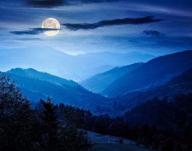 Karpat Dağları 'nda güzel bir öğleden sonra. Manzaralı sonbahar havası. Renkli yeşillikler içinde orman. Sisli ve dolunay ışığında uzak bir vadi