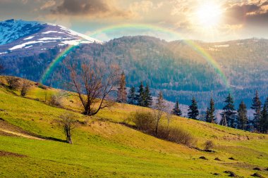 Baharda gün batımında dağlık kırsal alan. Bir tepenin yamacındaki çimen tarlası. Uzakta akşam ışığında karla kaplı tepeli dağ sırtı. Gökyüzünde bulutlar olan güneşli bir hava