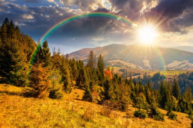 Sonbaharda gün batımında çayırın arkasındaki kozalaklı ormanın manzarası. Mavi gökyüzü ve akşam ışığında dağ sırtı olan doğa arka planı. Alp ormanları