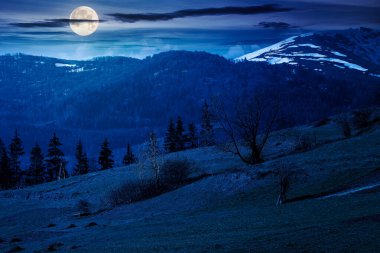 Baharda geceleri dağlık kırsal alan. Bir tepenin yamacındaki çimen tarlası. Dolunay ışığında, tepeleri karla kaplı dağ sırtı. Gökyüzünde bulutlar olan güneşli bir hava
