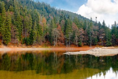 Sonbahar ormanlarındaki göl manzarası. Sonbahar sezonunda sinnevyr milli parkının güzel manzarası. Alp göletindeki renkli çevre yansıması. Karpatya ormanlarında açık hava macerası